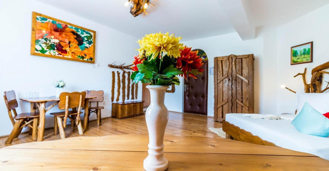 Castelul De Vis Hotel Petroşani Екстериор снимка