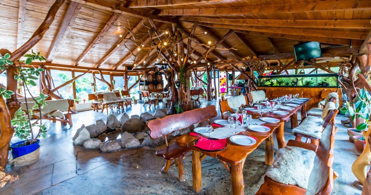 Castelul De Vis Hotel Petroşani Екстериор снимка