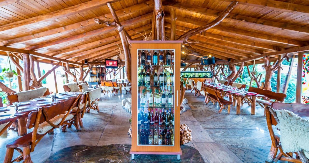 Castelul De Vis Hotel Petroşani Екстериор снимка