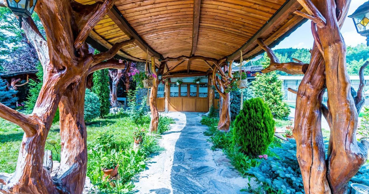 Castelul De Vis Hotel Petroşani Екстериор снимка