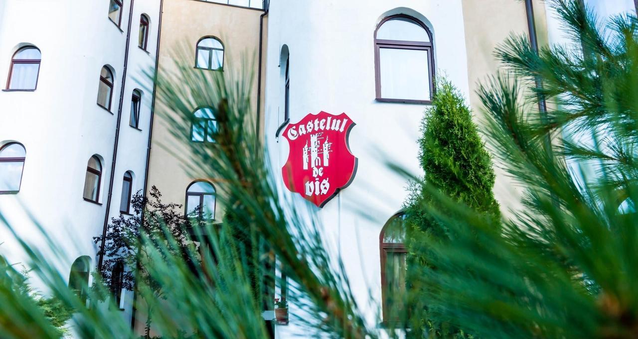 Castelul De Vis Hotel Petroşani Екстериор снимка